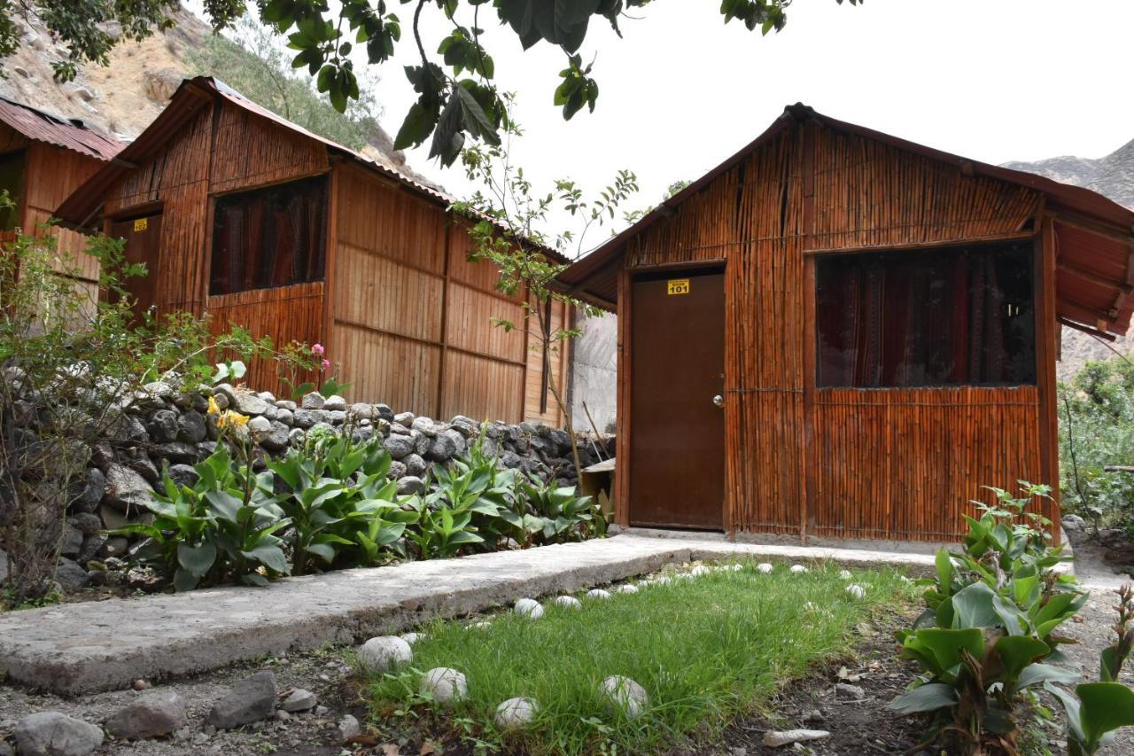 Oasis Paraiso Ecolodge Cabanaconde Bagian luar foto