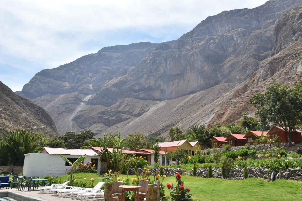 Oasis Paraiso Ecolodge Cabanaconde Bagian luar foto