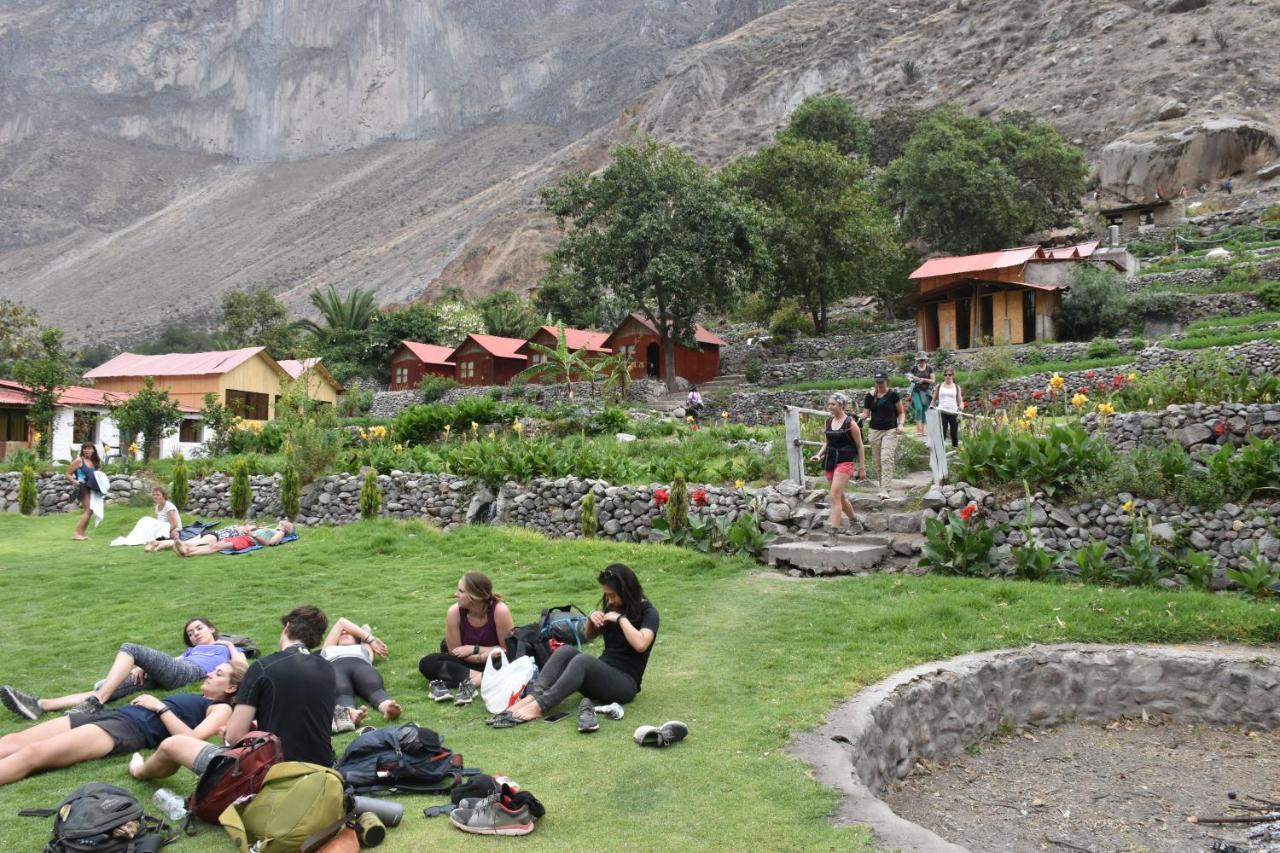 Oasis Paraiso Ecolodge Cabanaconde Bagian luar foto